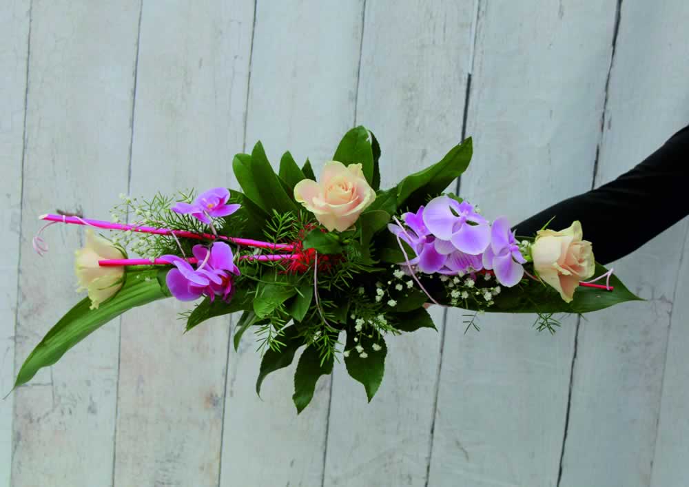 Quer Strauß Orchidee (1)